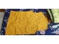 coaty-small-1