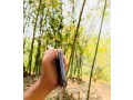 apple-iphone-xs-max-64gb-used-small-2