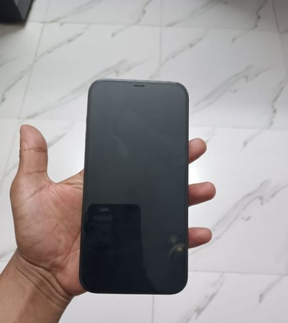 apple-iphone-12-pro-max-used-big-0