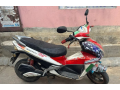 bir-magnum-2022-small-1