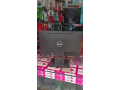 185-inci-dell-monitor-small-1