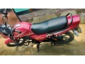 emma-100cc-small-0