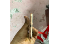 apple-iphone-8-plus-used-small-3